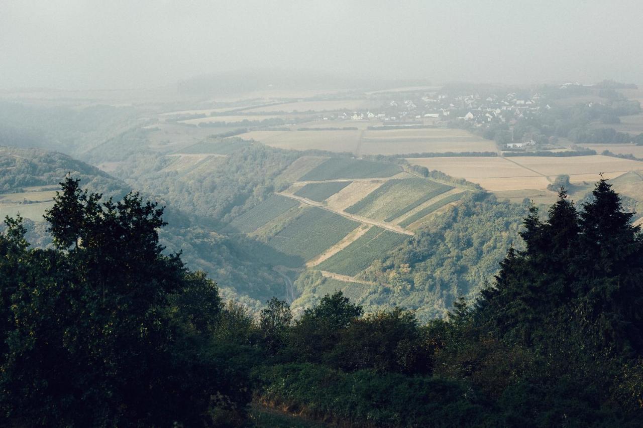 Dorscheid Fetz Das Loreley Hotel מראה חיצוני תמונה